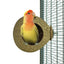 Back Zoo Nature Coconut House