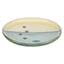 Trixie Voerbak / Drinkbak Kat Keramiek Groen / Beige 16X16X2 Cm