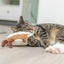 Trixie Toast Xxl Pluche Met Amerikaanse Catnip 18 Cm