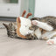 Trixie Toast Xxl Pluche Met Amerikaanse Catnip 18 Cm