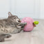 Trixie Perzik Xxl Pluche Met Amerikaanse Catnip 20 Cm