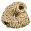 Trixie Tunnel Gras Rond 6X6X15 Cm