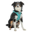 Trixie Hondentuig Urbanvest Mesh Aqua 31-34X1,5 Cm - Xxs