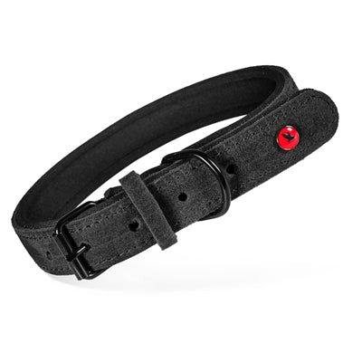 Zolux Expert Halsband Hond Premium Leer / Neopreen Zwart 30X1,4 Cm