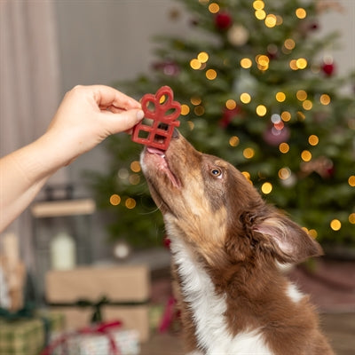 Trixie Xmas Cadeau Met Kippenborst 31 Gr 90 St