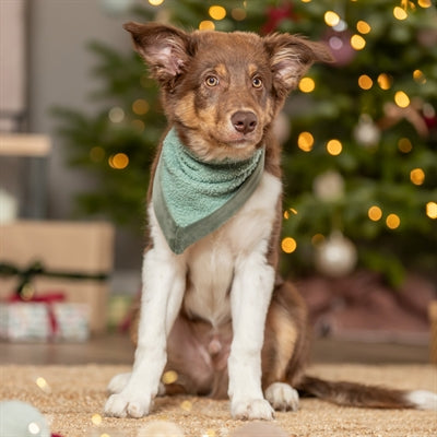 Trixie Xmas Bandana Fluweellook Saliegroen 55 Cm