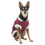 Trixie Xmas Hondentrui Saint Nick Teddy Pluche Bordeaux 35 Cm