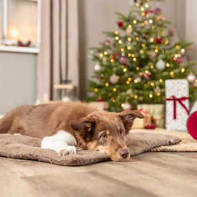 Trixie Ligmat Hond Stars Hoekig Lichtbruin 100X70X3,5 Cm