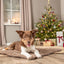 Trixie Ligmat Hond Stars Hoekig Lichtbruin 100X70X3,5 Cm